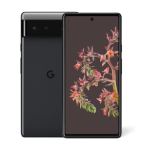 deGoogled Pixel 6 Phone